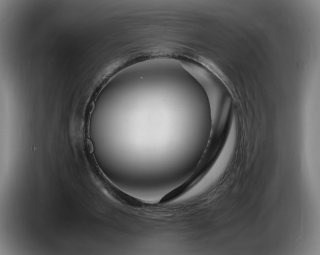 X0000086090485200703301154