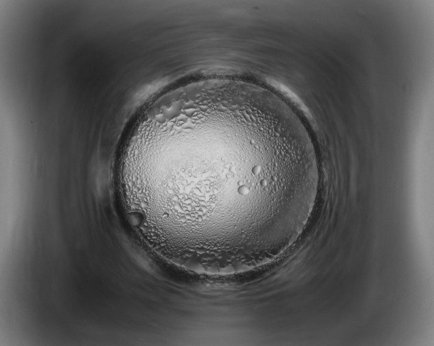 X0000086090487200703301154