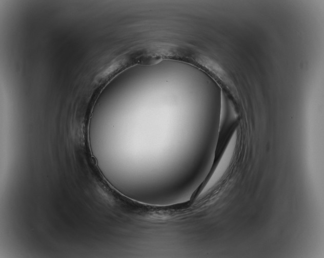 X0000086090489200703301154