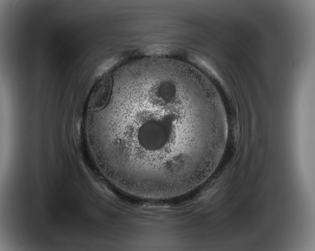 X0000086090491200703301154