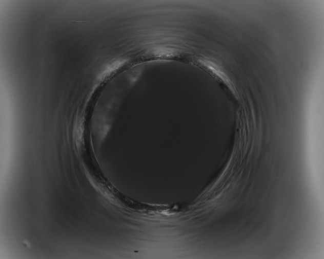 X0000086090492200703301154