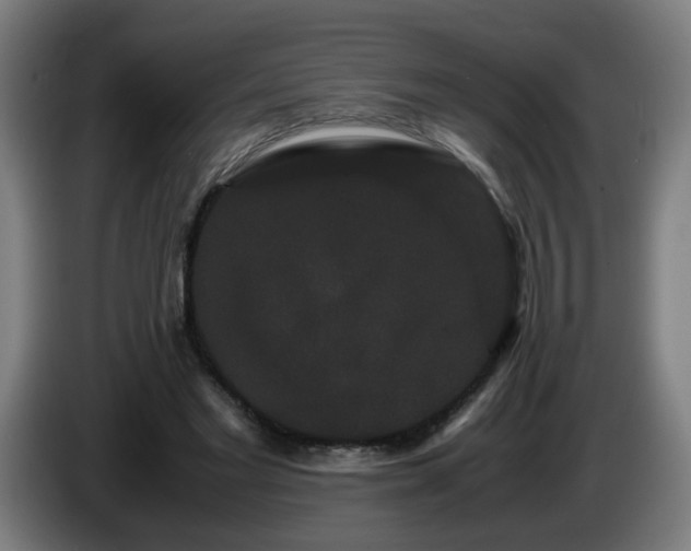 X0000086090493200703301154