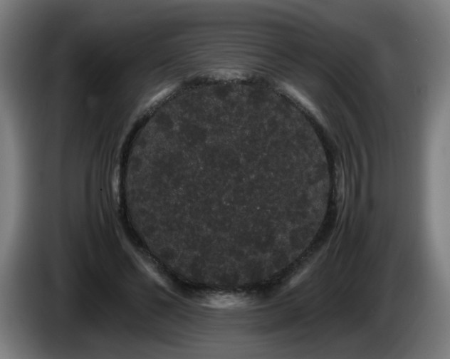 X0000086090494200703301154