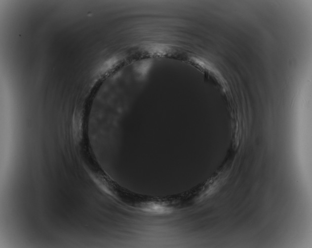 X0000086090496200703301154