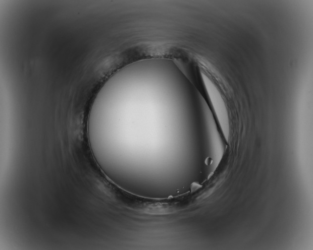 X0000086090497200703301154