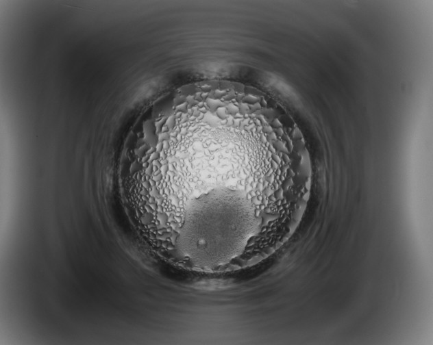 X0000086090499200703301154