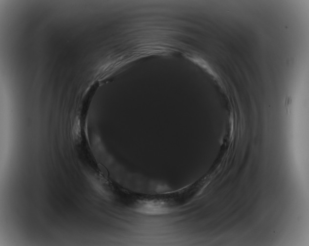 X0000086090500200703301154