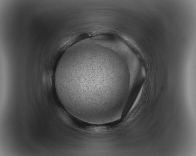 X0000086090501200703301154