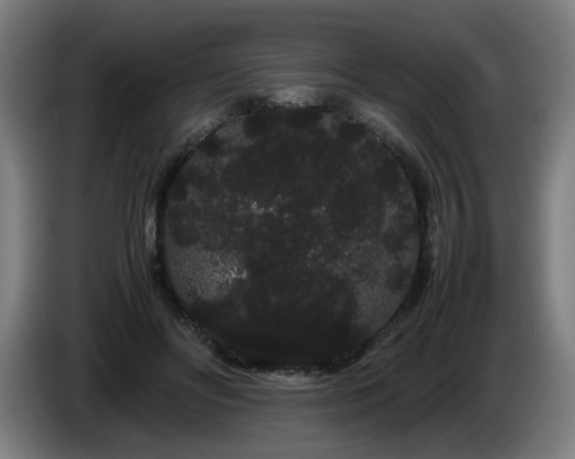 X0000086090502200703301154