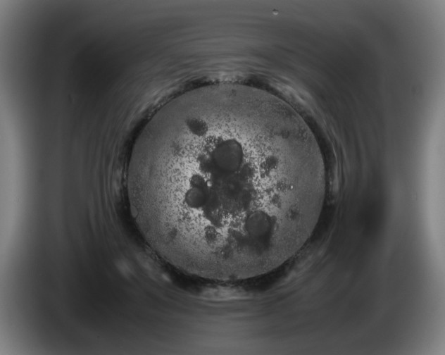 X0000086090503200703301154