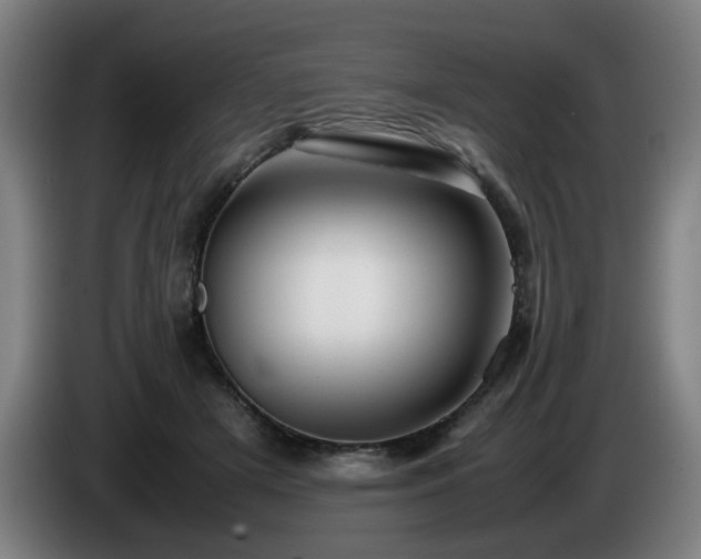 X0000086090505200703301154