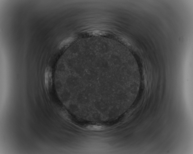 X0000086090506200703301154