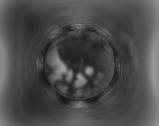 X0000086090507200703301154