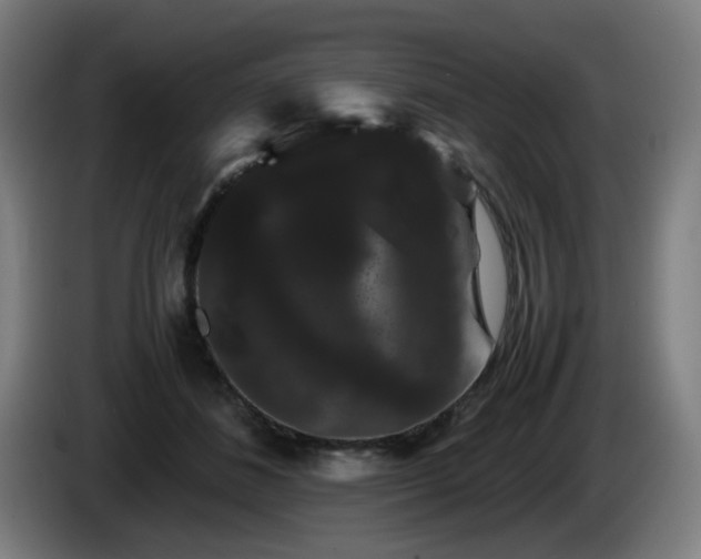 X0000086090508200703301154