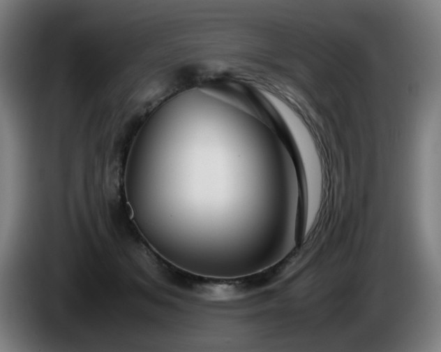 X0000086090509200703301154