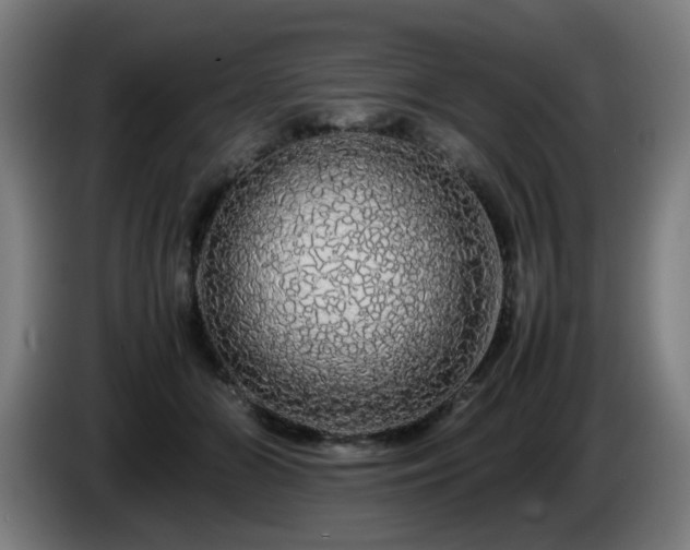 X0000086090510200703301154