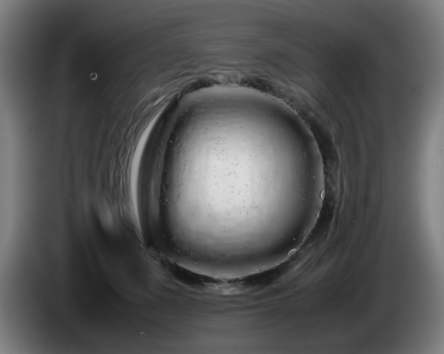 X0000086090511200703301154