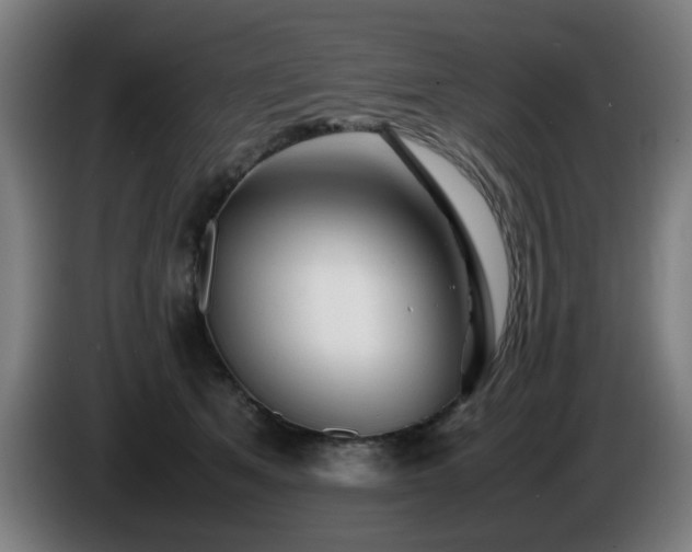 X0000086090513200703301154