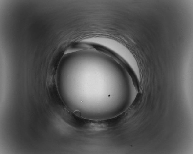 X0000086090515200703301154