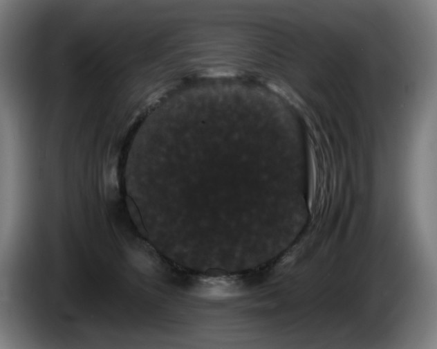 X0000086090516200703301154