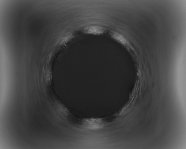 X0000086090517200703301154