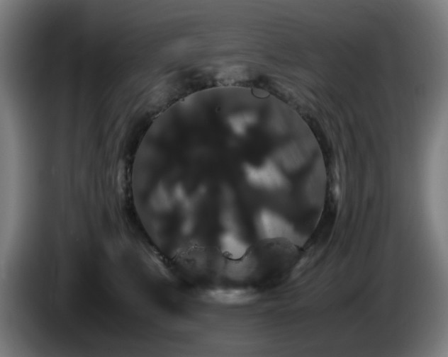 X0000086090519200703301154