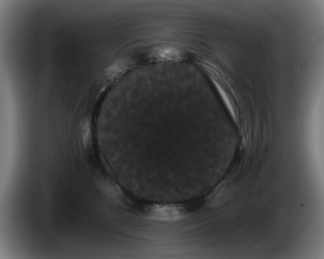 X0000086090520200703301154