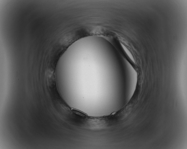 X0000086090521200703301154