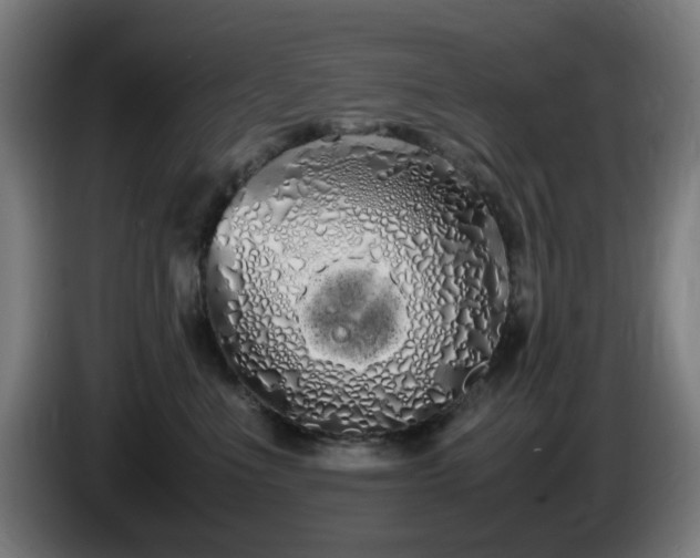 X0000086090523200703301153