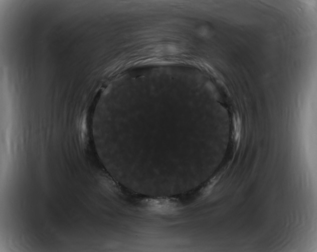 X0000086090524200703301153