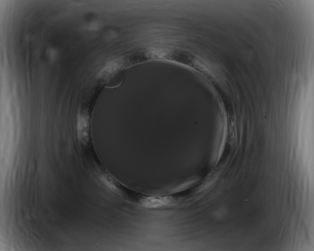 X0000086090526200703301153