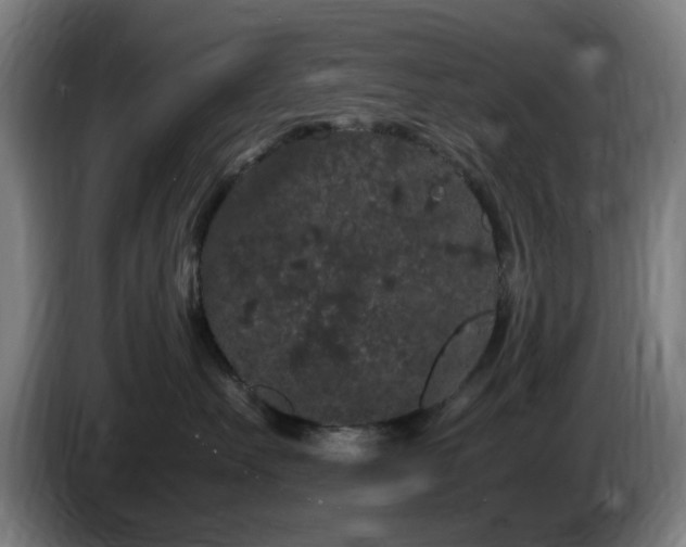 X0000086090527200703301153