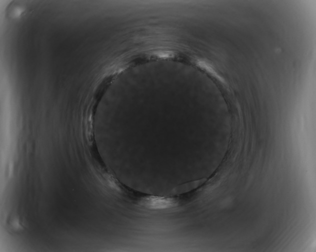 X0000086090528200703301153