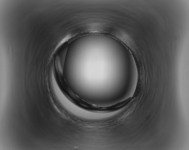 X0000086090530200703301153