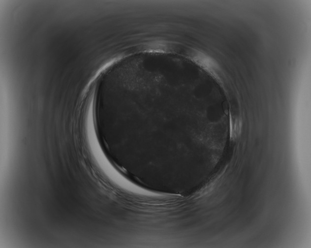 X0000086090531200703301153