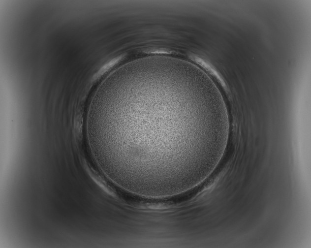 X0000086090533200703301153