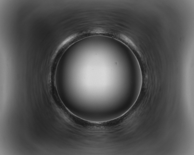 X0000086090535200703301153