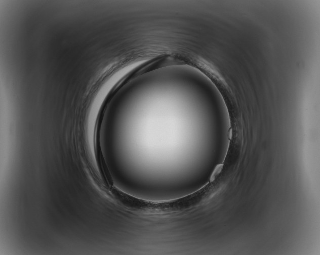 X0000086090538200703301153