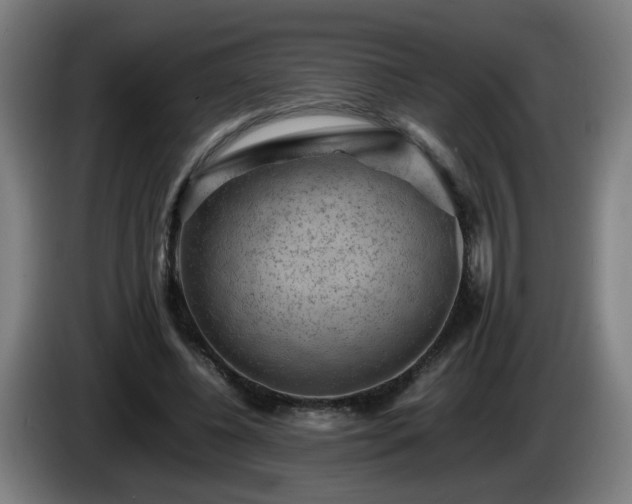 X0000086090540200703301153