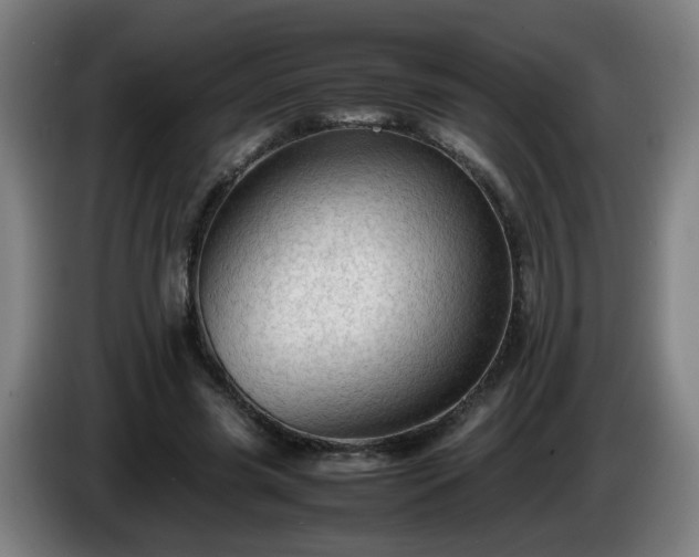 X0000086090541200703301153