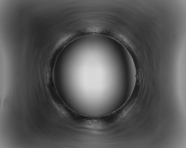 X0000086090544200703301153