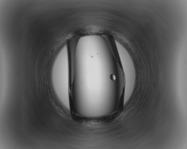 X0000086090546200703301153