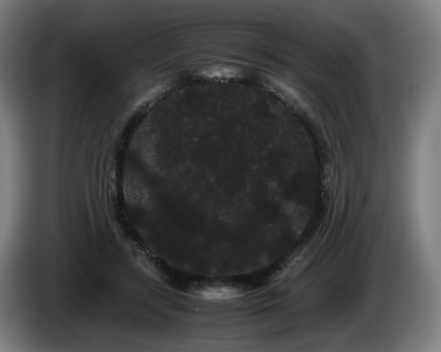 X0000086090547200703301153