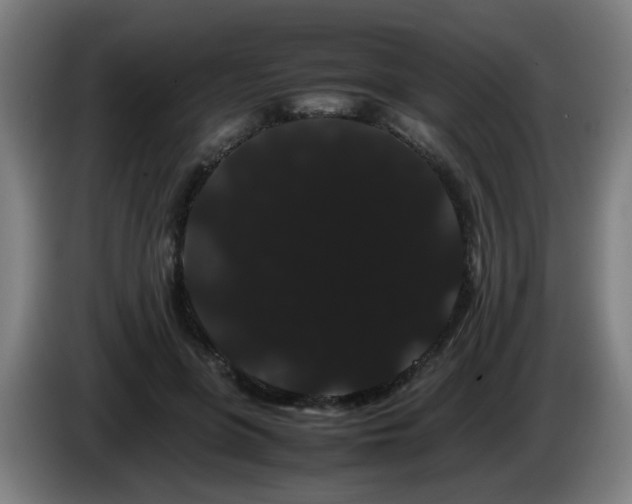 X0000086090551200703301153