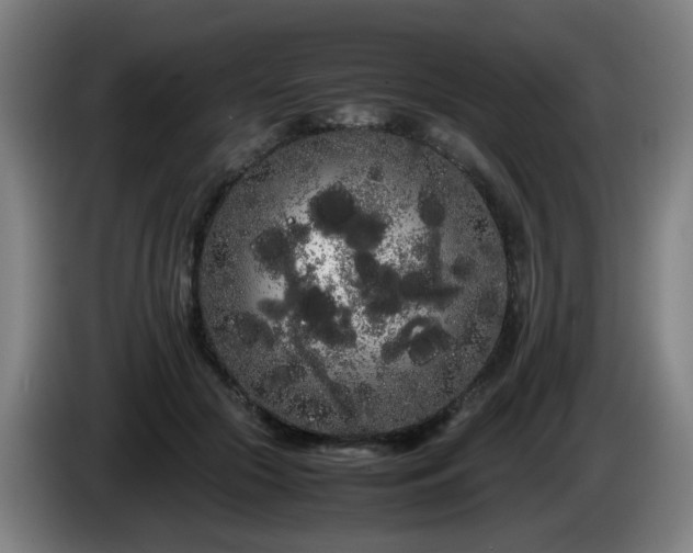 X0000086090553200703301153