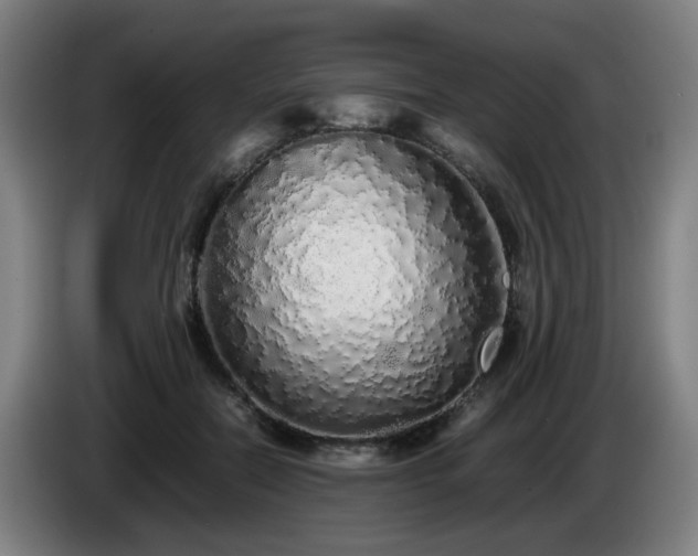 X0000086090554200703301153