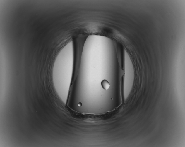 X0000086090556200703301153