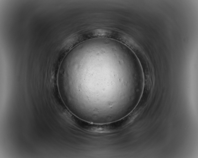 X0000086090557200703301153