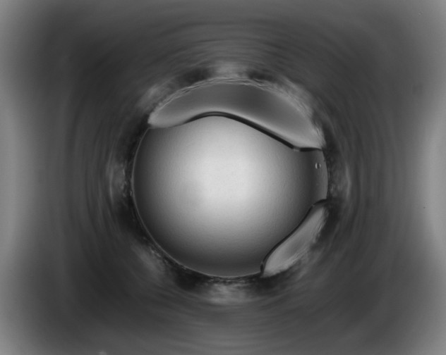 X0000086090560200703301153