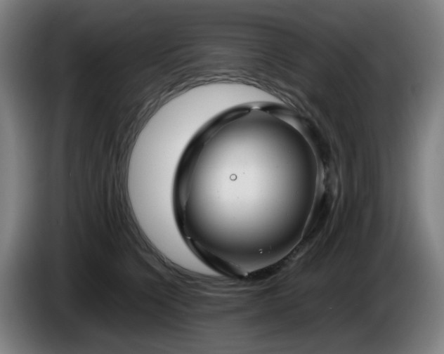 X0000086090564200703301153